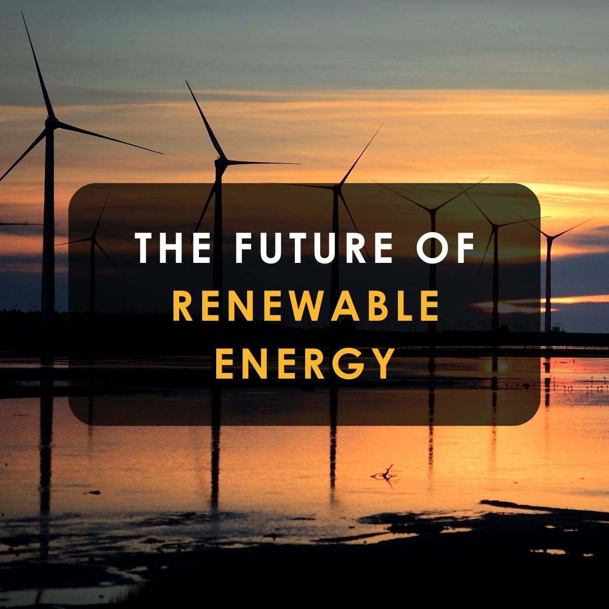 The future of renewable energy